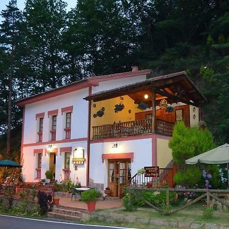 Hotel Casa Rural Priena Covadonga Zewnętrze zdjęcie